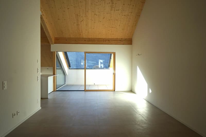 Beautiful 3.5-room new construction penthouse (6)