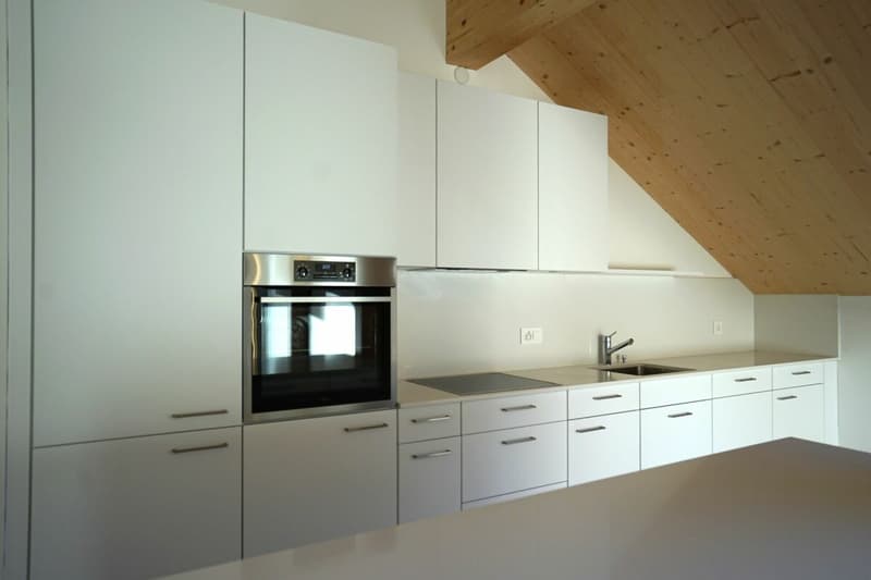 Beautiful 3.5-room new construction penthouse (2)