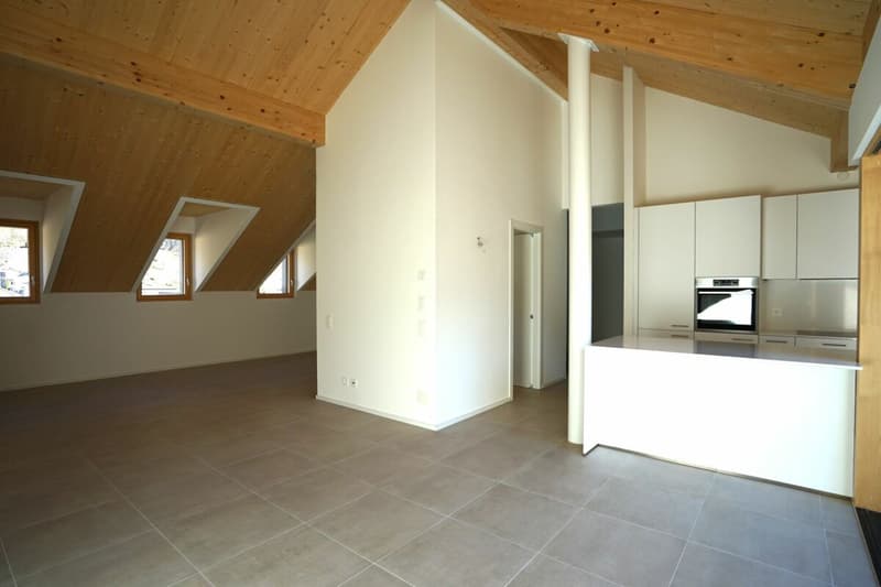Beautiful 3.5-room new construction penthouse (4)