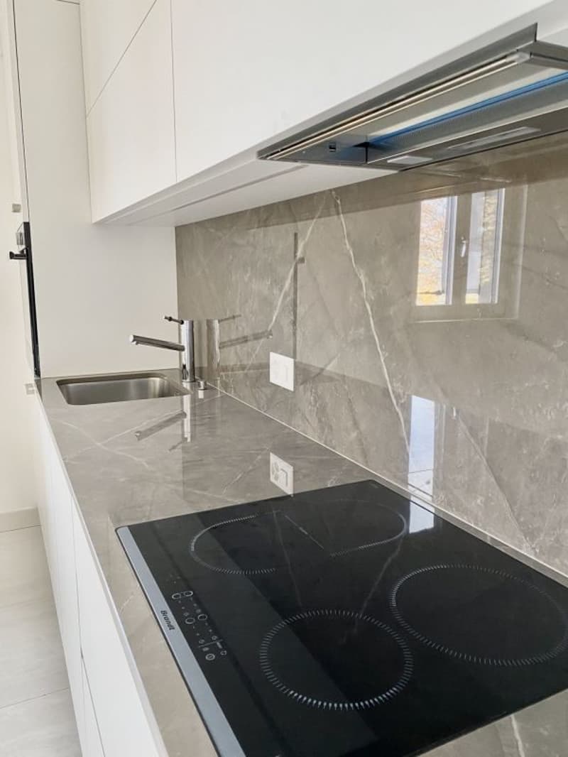 Elegante appartement 3.5 pièces à Collina D'Oro (2)