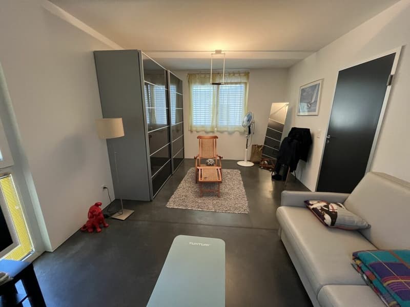 Moderne und geräumige Einfamilienhaus (6)
