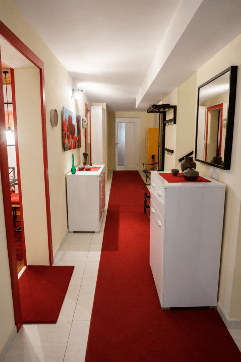 2.5 locali ammobiliato con splendido giardino (3)