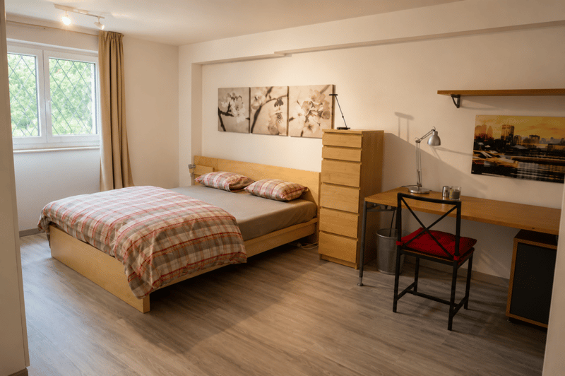 2.5 locali ammobiliato con splendido giardino (2)
