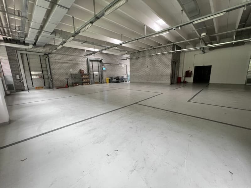 Industrie- bzw. Handwerksimmobilie (8)