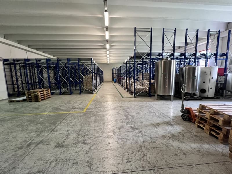 Industrie- bzw. Handwerksimmobilie (9)