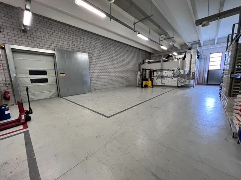 Industrie- bzw. Handwerksimmobilie (3)