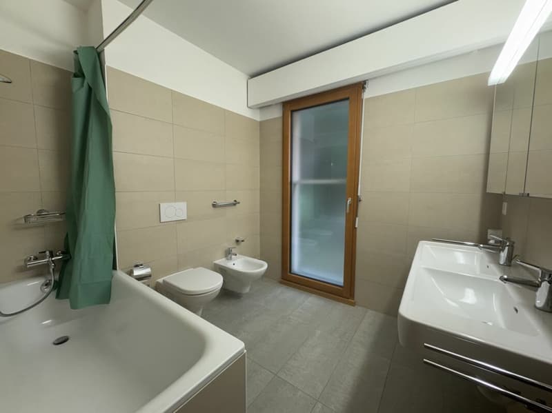 Bright apartment in a stunning lakeside location (4)