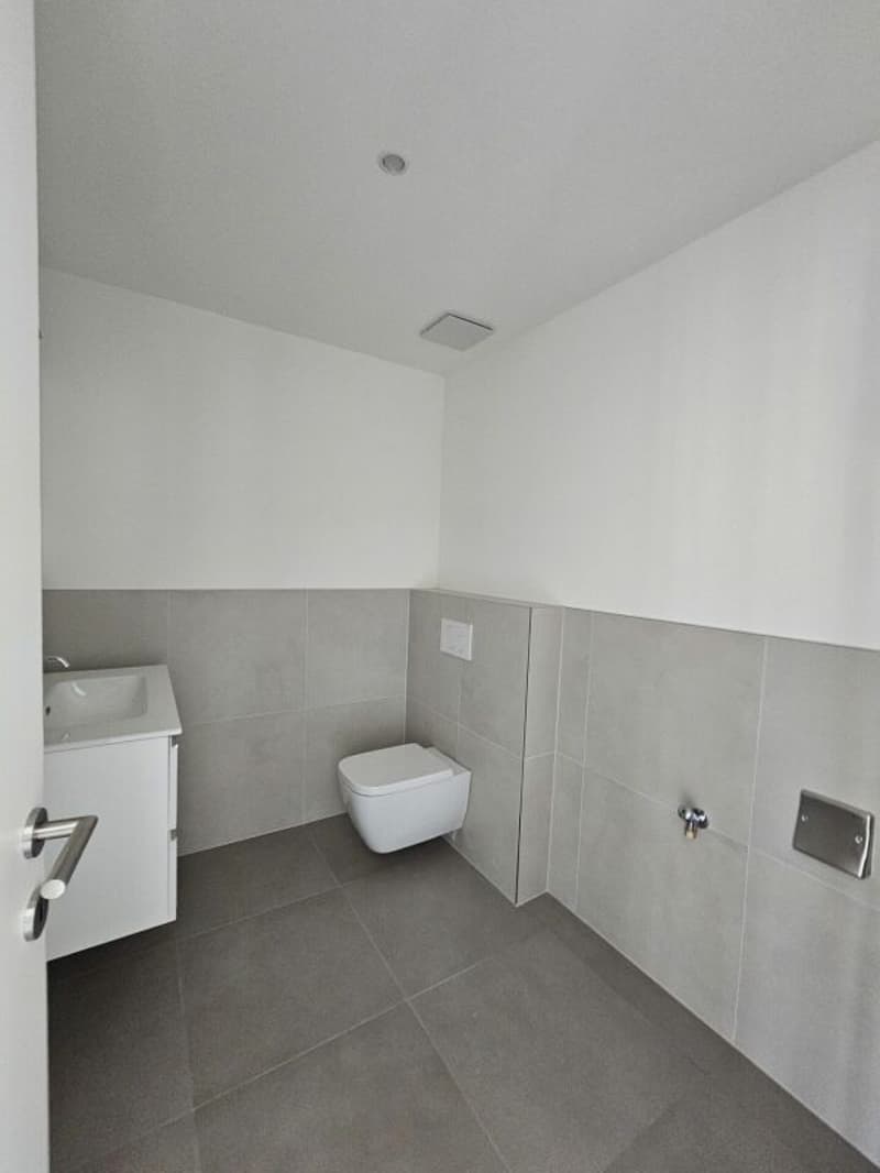 Neue 4.5-Zimmer-Duplexwohnung mit Balkon (3)