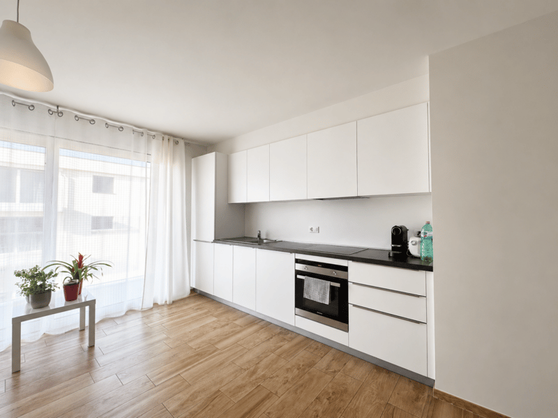 Bright and modern 2.5 room apartments (2)