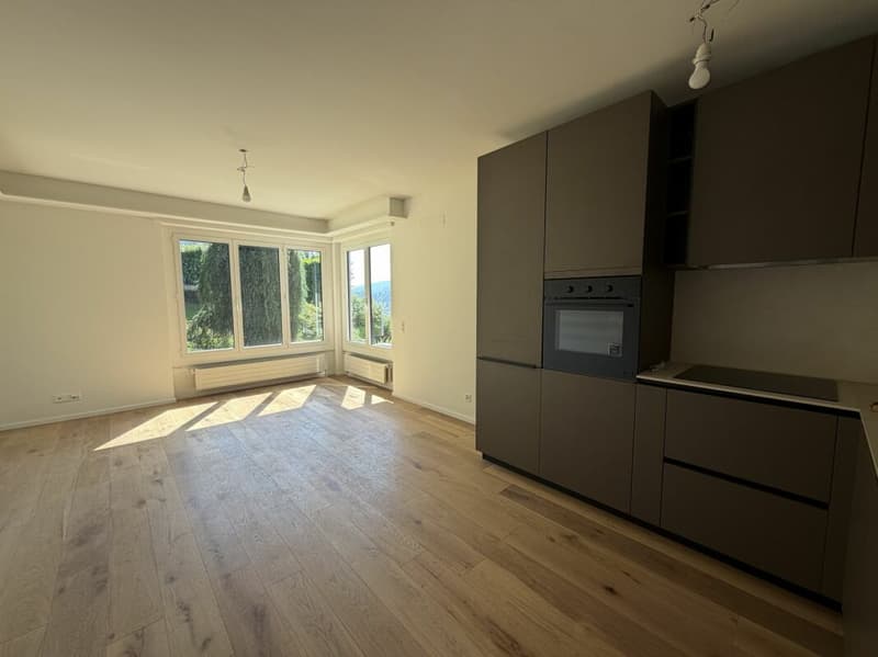 Appartement rénové avec une belle vue (5)