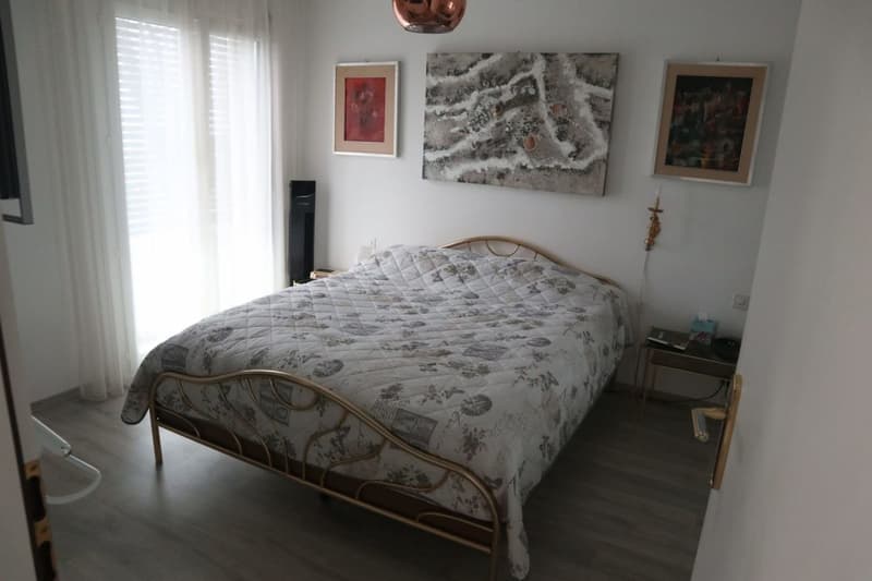 Lovely 2.5 room flat, Pregassona (3)