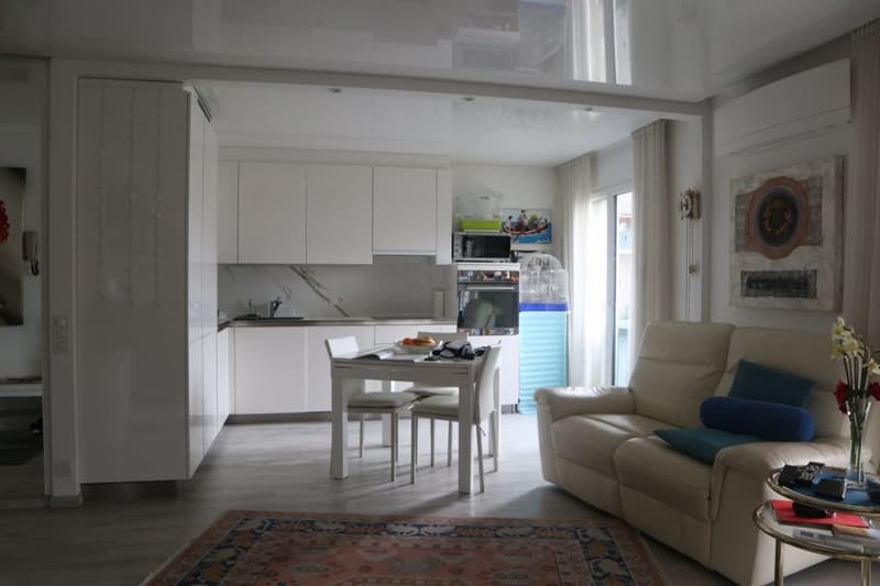Lovely 2.5 room flat, Pregassona (2)