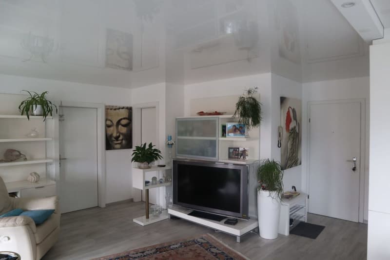 Lovely 2.5 room flat, Pregassona (1)
