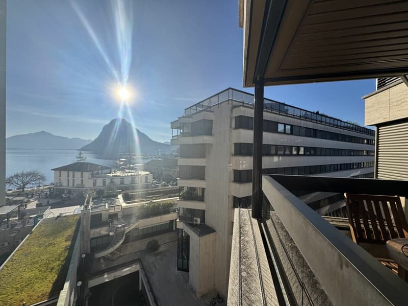 Wunderschöne 3,5 Zimmerwohnung möbliert mit Seeblick (2)