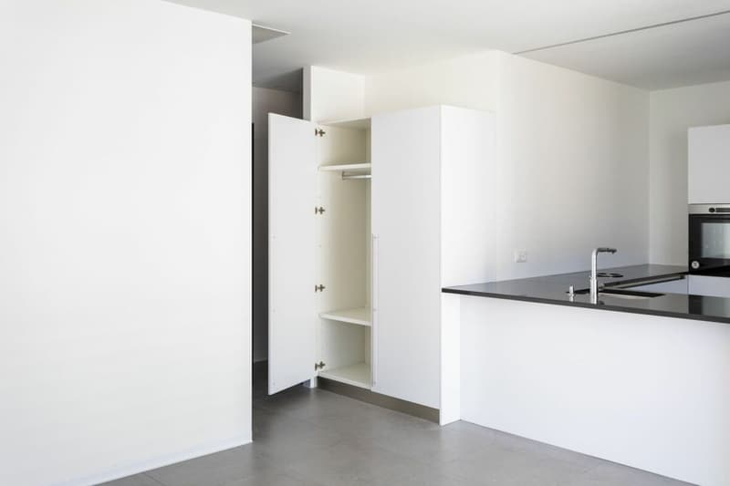 Appartements neufs de 3,5 pièces (5)