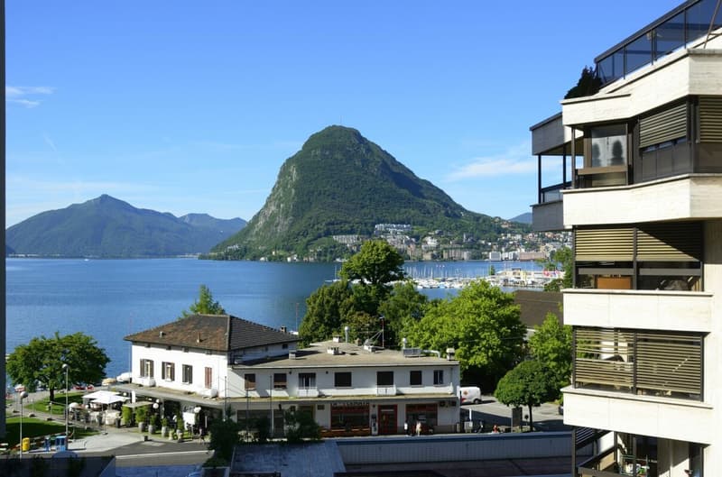 Stupendo 3,5 locali ammobiliato con vista lago (1)