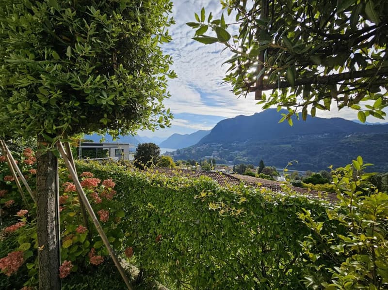 Raffiné monolocale avec terrasse et jardin (3)