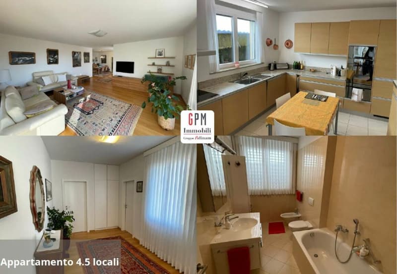 Interesting villa with garden and lake view (6)