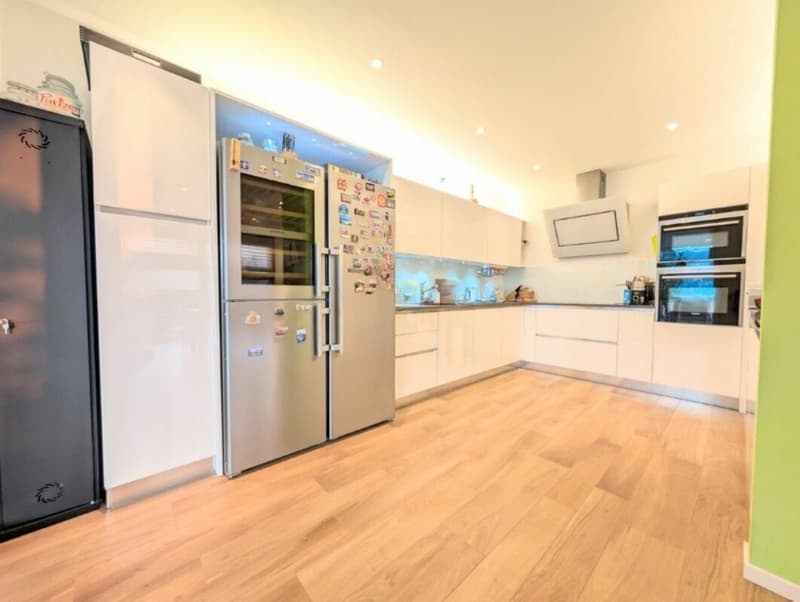 Exclusif attico de 5,5 pièces avec de grandes terrasses (4)