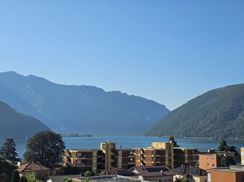 3.5 locali con vista lago e aria condizionata (1)