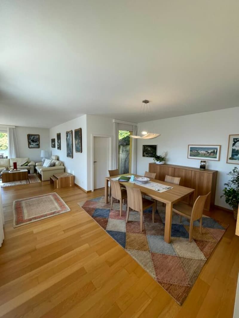 Interesting villa with garden and lake view (9)