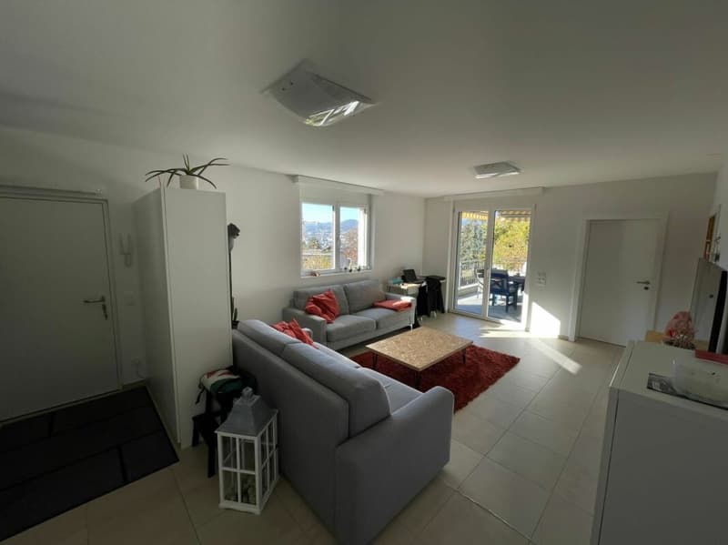 Interesting villa with garden and lake view (13)