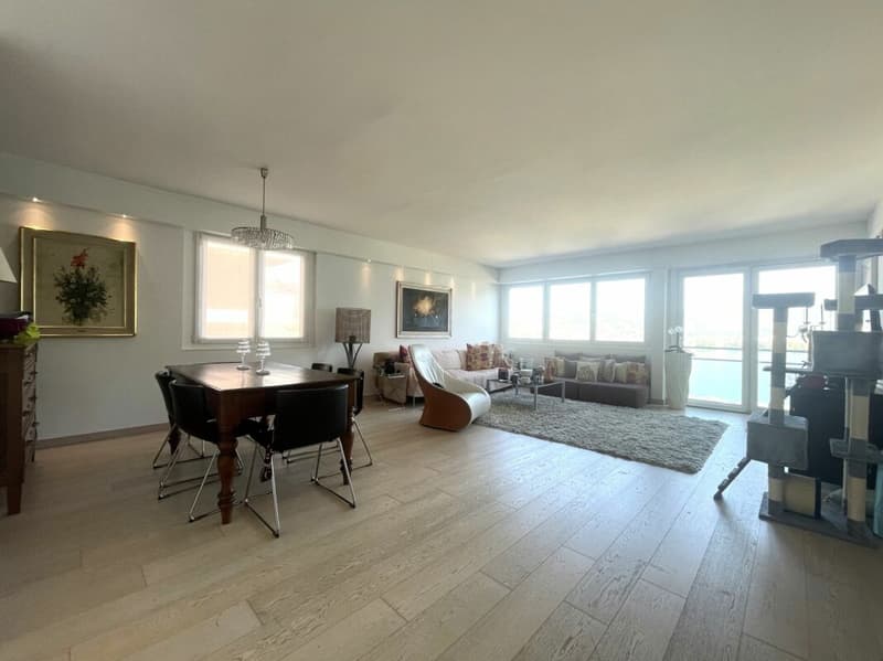 Spacious Apartment with Panoramic View and Pool (3)