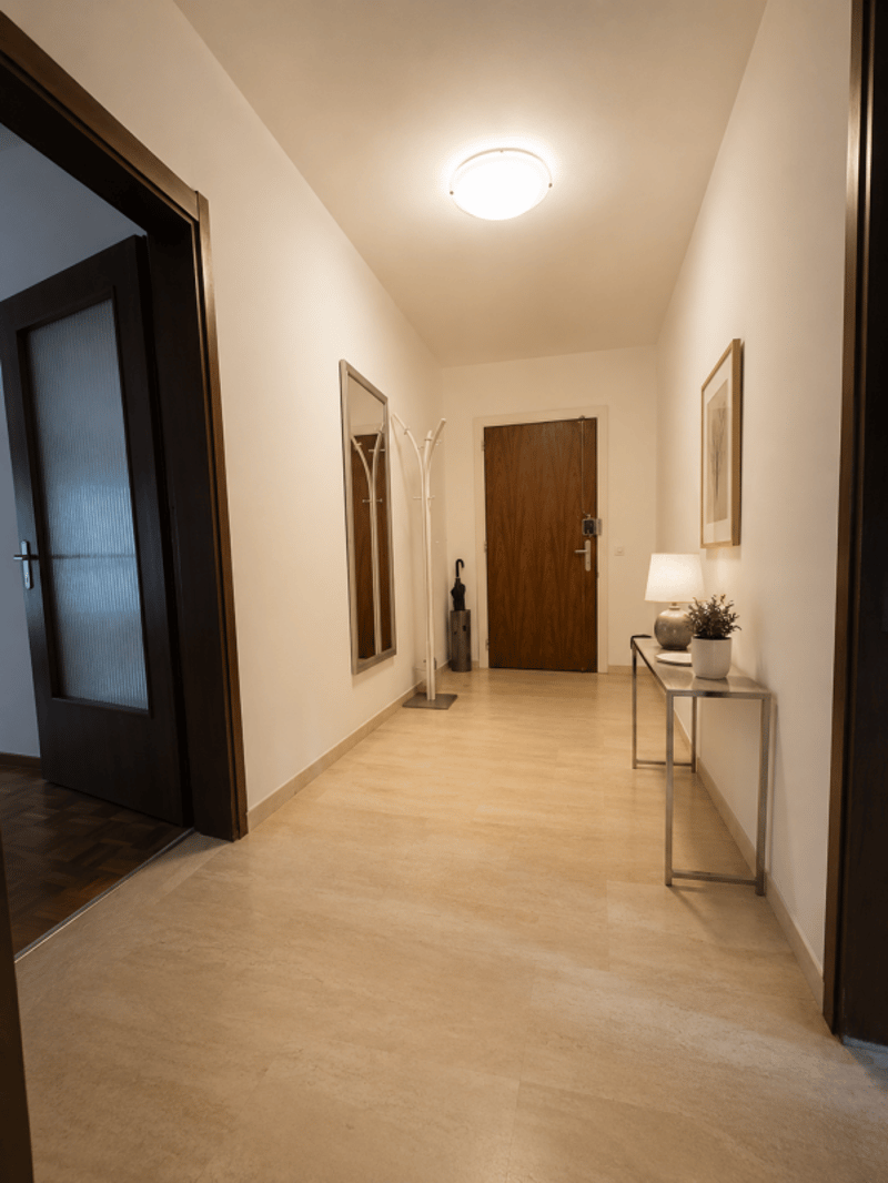 Ampio appartamento 2,5 locali (3)