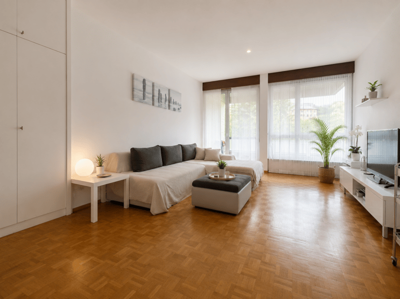Ampio appartamento 2,5 locali (2)