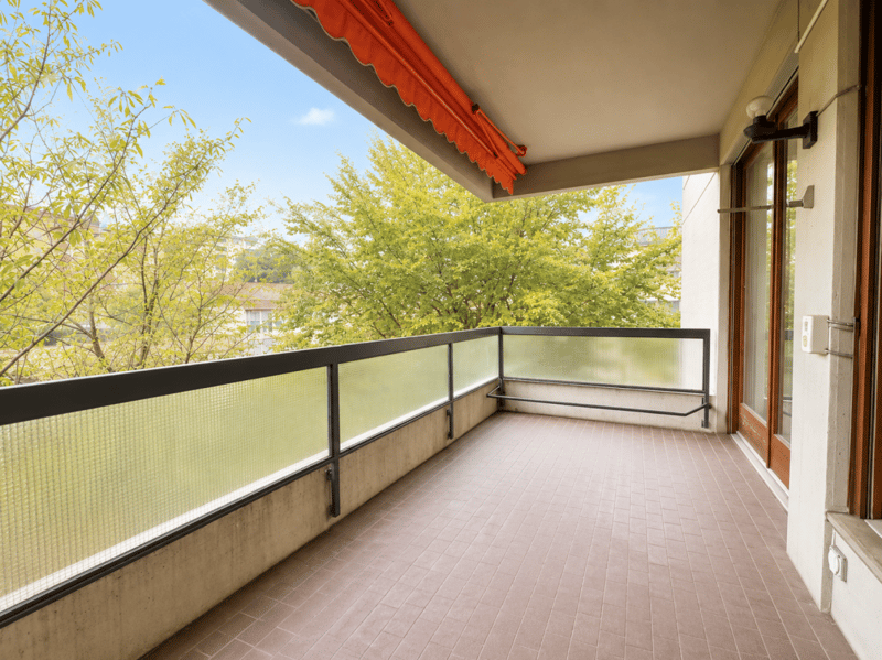Grand appartement avec terrasse (4)