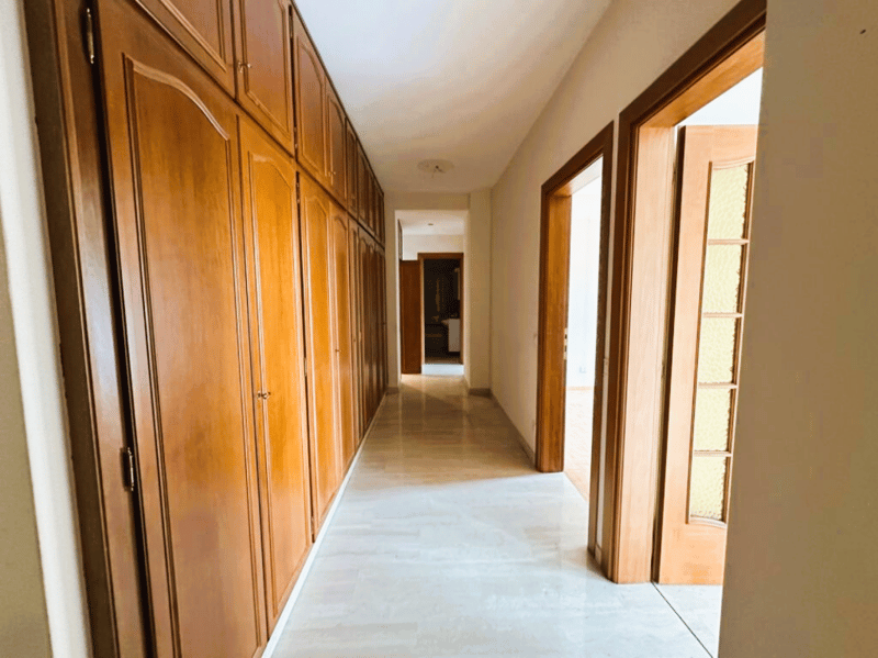 Grand appartement avec terrasse (3)