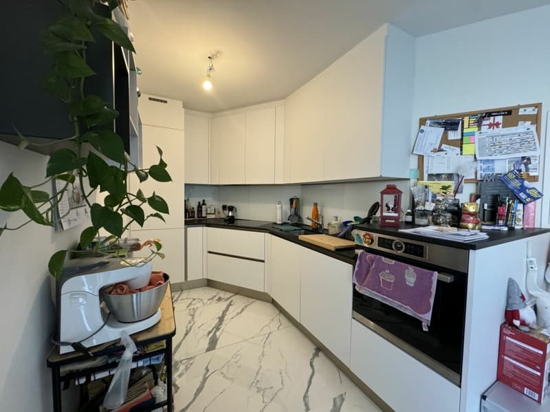 Spazioso appartamento 2,5 locali (3)