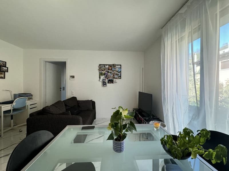 Spazioso appartamento 2,5 locali (2)