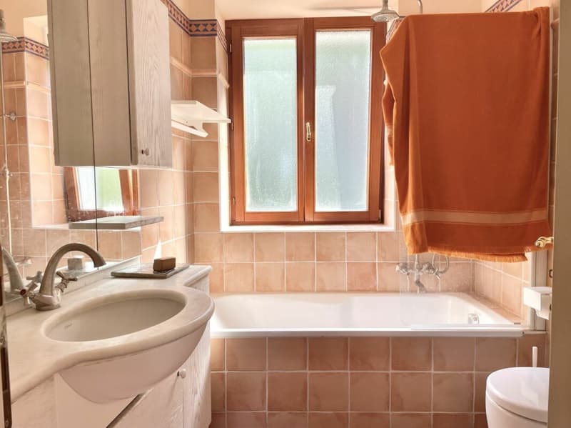 Elegante 3.5 locali con vista lago (9)