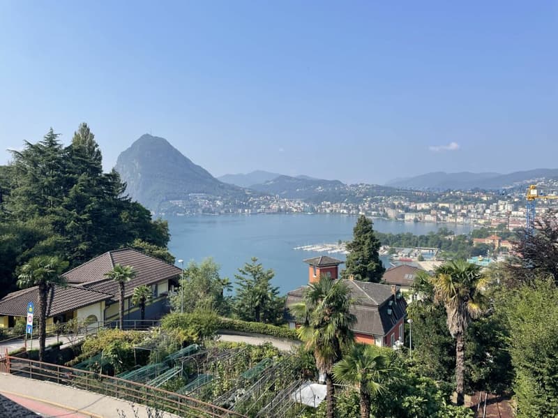 Grazioso 3.5 locali con vista lago (6)