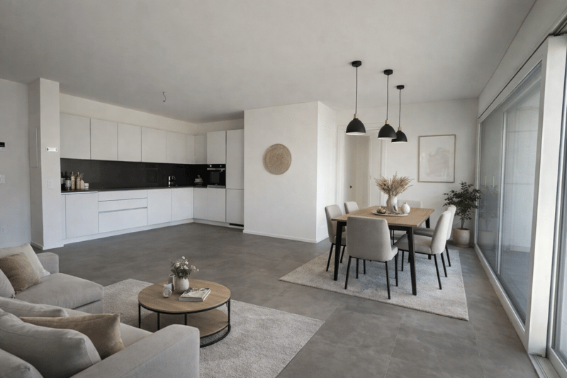 Ultimo appartamento di 3,5 locali con terrazza (2)