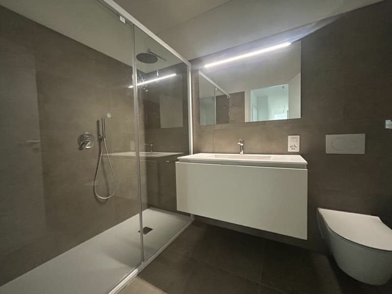 Letzte 4,5-Zimmer-Wohnung mit großer Terrasse (5)