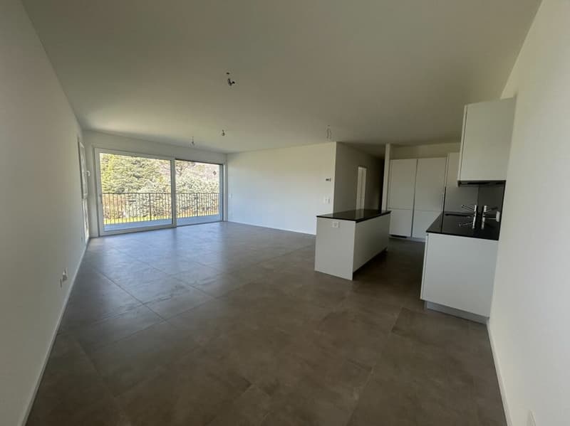 Letzte 4,5-Zimmer-Wohnung mit großer Terrasse (3)