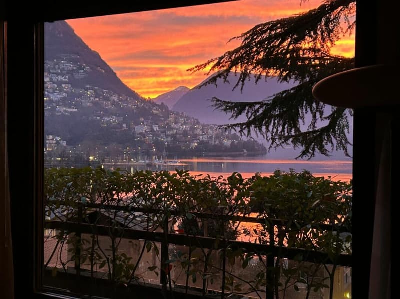 Splendido 3,5 in centro città con vista lago (6)