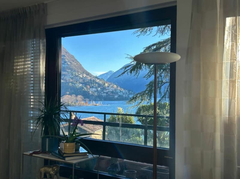 Splendido 3,5 in centro città con vista lago (4)