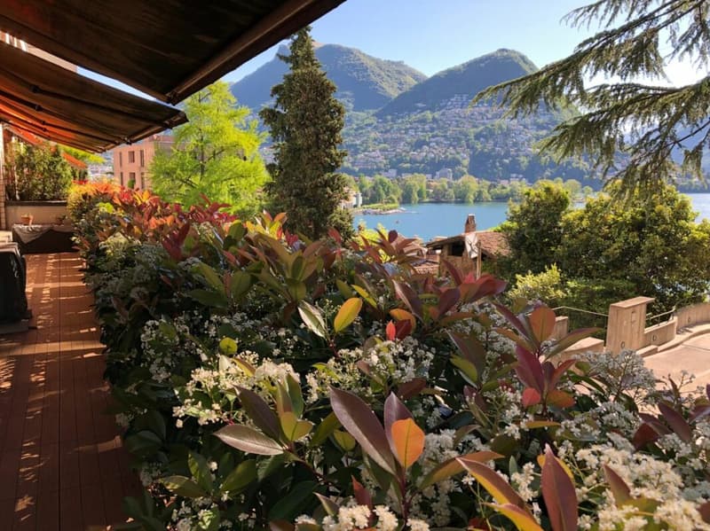 Splendido 3,5 in centro città con vista lago (5)
