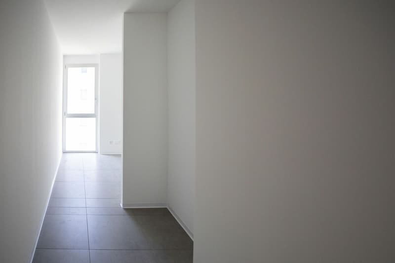 Appartamenti 3.5 locali nuovi (9)