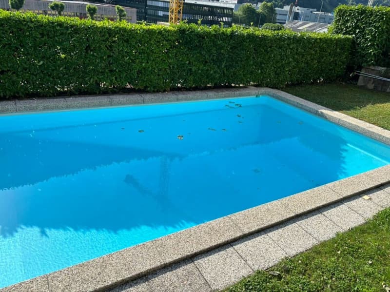 Splendido rustico antico con piscina condominiale (14)