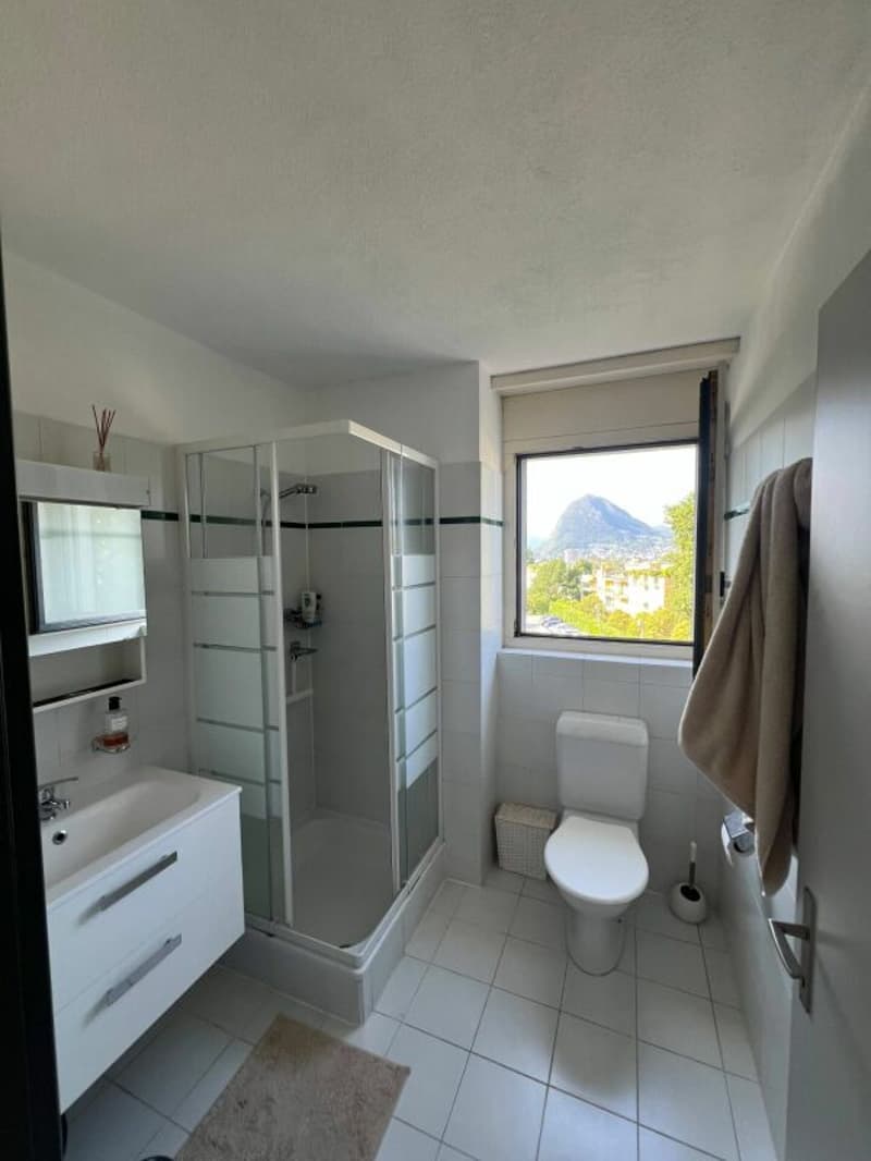 Dachwohnung 3.5 Zimmer mit Seeblick, Terrasse und 2 Parkplätzen (9)