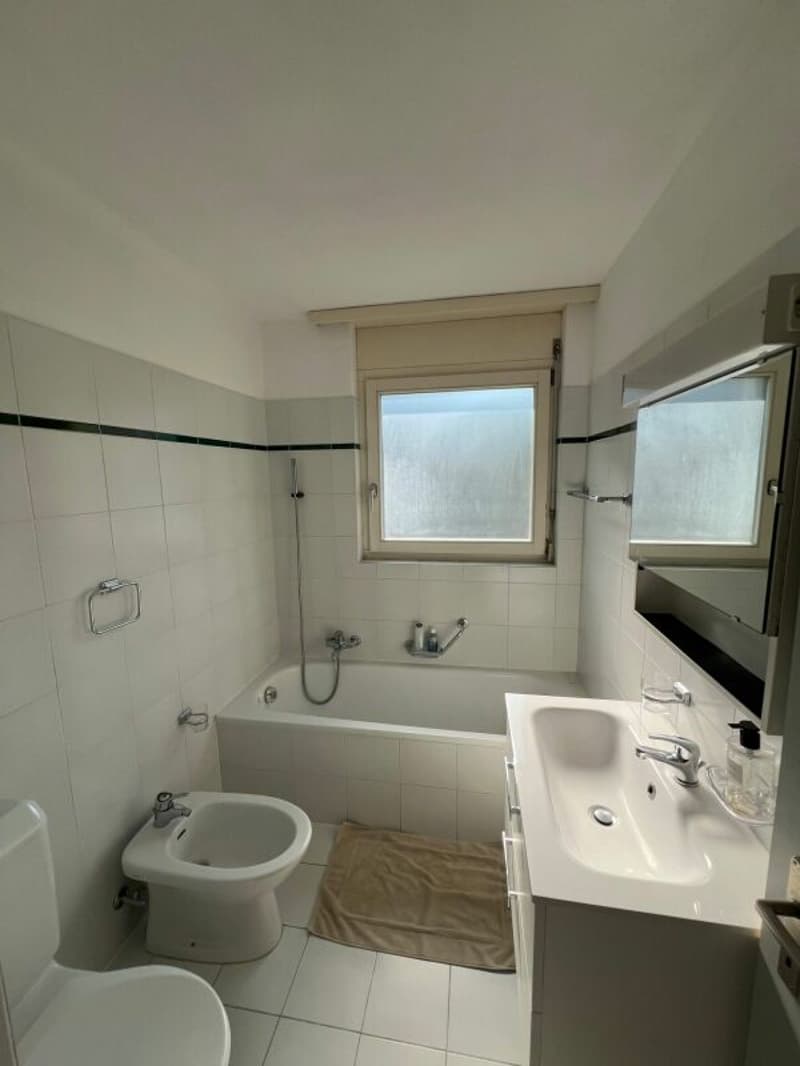 Dachwohnung 3.5 Zimmer mit Seeblick, Terrasse und 2 Parkplätzen (8)