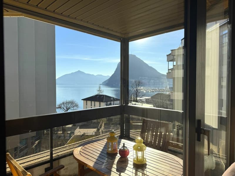 Stupendo 3,5 locali ammobiliato con vista lago (7)