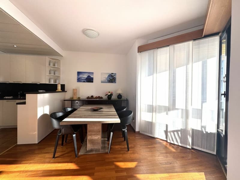 Stupendo 3,5 locali ammobiliato con vista lago (3)
