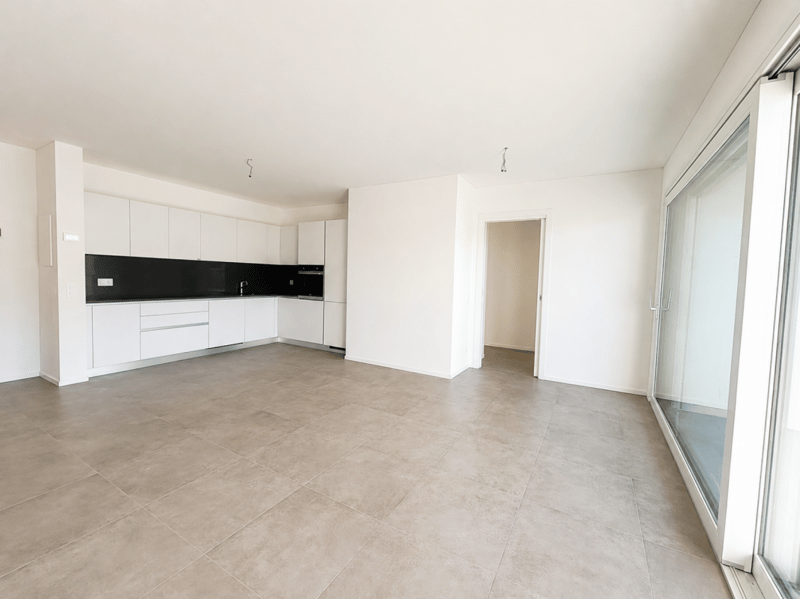 Ultimo appartamento di 3,5 locali con terrazza (3)