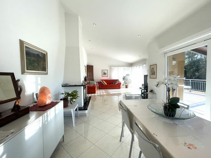 Stupenda villa con 2 appartamenti e piscina (3)