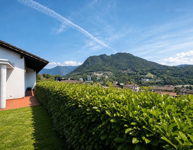 Villa unifamiliare con grande giardino (2)